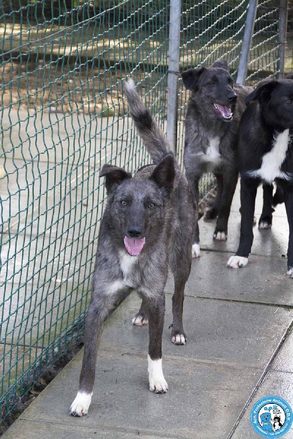 Nina, Nana E Noah: Il Club Degli Invisibili